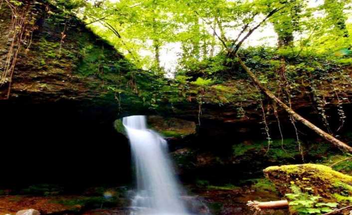 Artvin’in Murgul ilçesinde biri yapay biri doğal iki şelale büyük