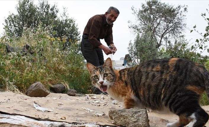 Muğla'nın Bodrum ilçesinde yaşayan 70 yaşındaki Ali Karaduman, 30 yıldır