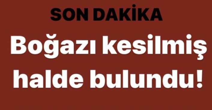 Erzincan’da bir kişi boğazı kesilmiş halde bulundu