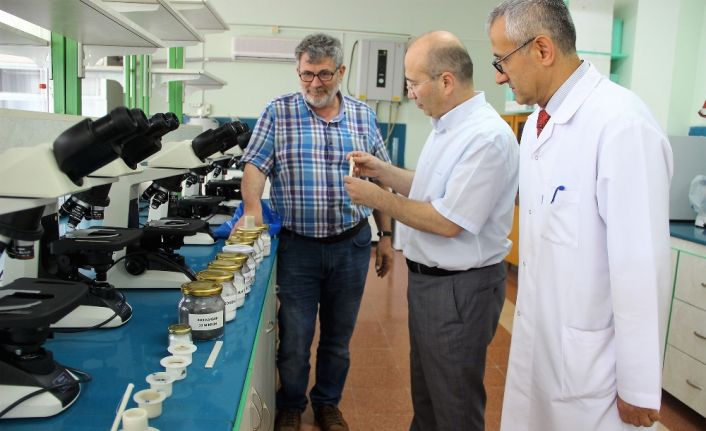 Balıkesir’in Edremit ilçesinde Balıkesir Üniversitesi Edremit Meslek Yüksek Okulu ile