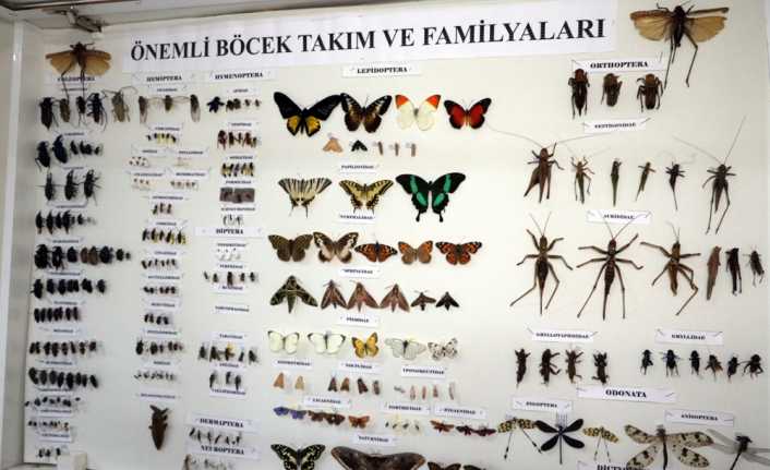Yozgat Bozok Üniversitesi Ziraat Fakültesi Bitki Koruma Bölümünde Türkiye’nin birçok