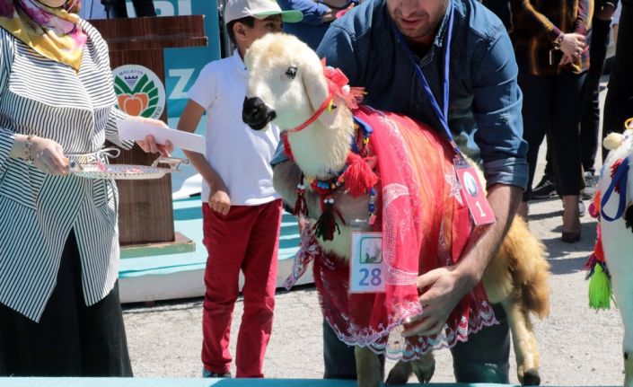 Malatya’da düzenlenen 12. Tarım Fuarı kapsamında bu yıl da en