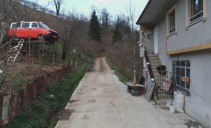 Trabzon’un Maçka ilçesi Esiroğlu mahallesinde bir şahsın evlerinin önündeki fındık