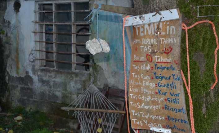 Ordu’nun Gülyalı ilçesinde bir ağaca yapılan Temel’in hava durumu tahmin