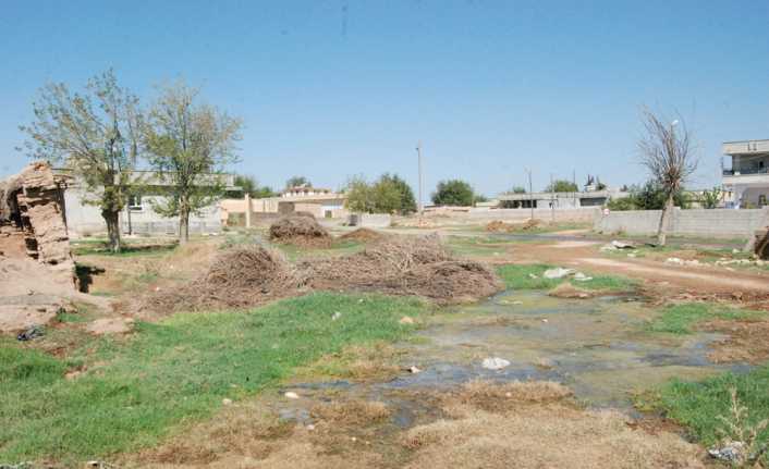 Güneydoğu’nun bir çok bölgesinde aşırı sıcaklar nedeniyle kuraklık yaşanırken, Şanlıurfa’da