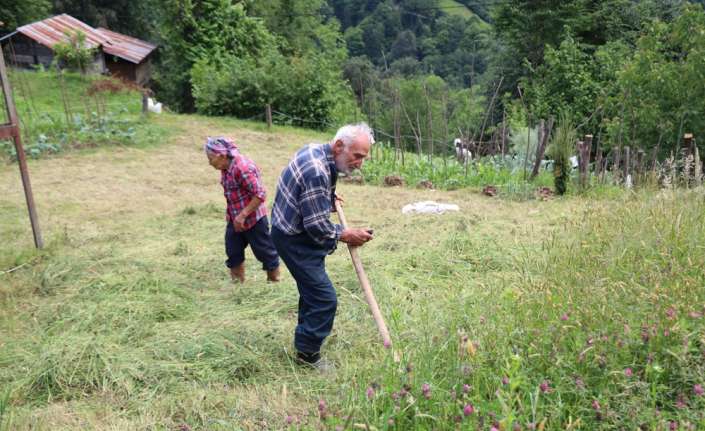 Rize’nin Hemşin ilçesi Bahar mahallesinde yaşayan yaşlılar gençlere taş çıkartıyor.