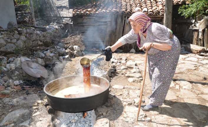 Pekmezi ile ünlü Antalya’nın Akseki ilçesinde her yıl eylül ayının