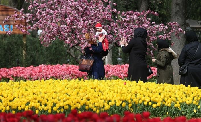 Bursa Büyükşehir Belediyesi, 4,5 milyonu laleden oluşan 5 milyon çiçekle