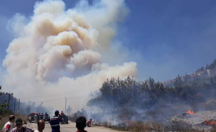 Bursa’da 3 yıl önce 170 hektarlık ormanlık alanın kül olduğu