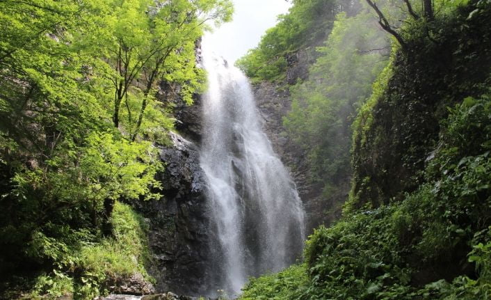Ordu’da etrafı ağaçlarla çevrili ve iki derenin birleştiği nokta bulunan