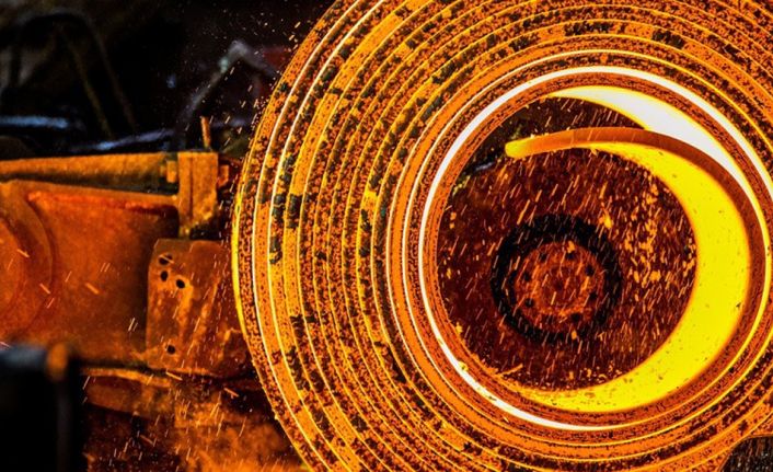 Bilim, Sanayi ve Teknoloji Bakanı Faruk Özlü, "2017 yılının tamamında