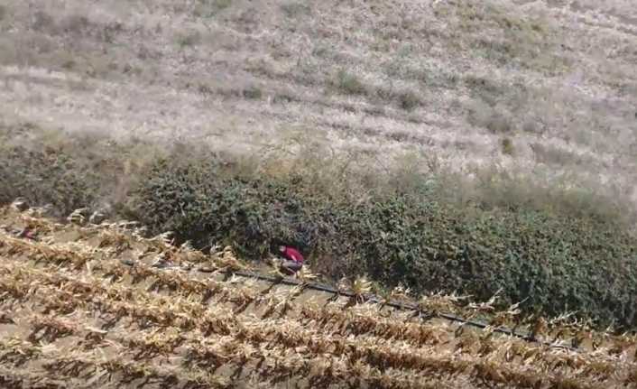 Çanakkale’de emniyet ekipleri, Açık Ceza ve İnfaz Kurumu’ndan firar eden