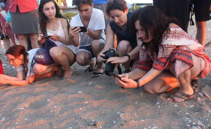 Antalya’nın ünlü tatil beldesi Çıralı’da caretta caretta yuvalarının sayısı, hafta