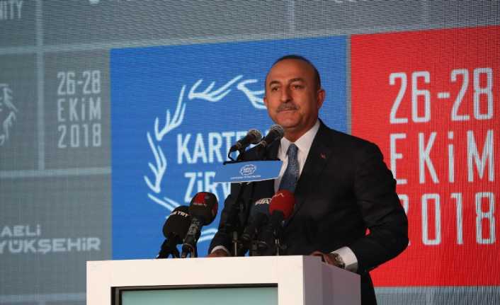 Dışişleri Bakanı Mevlüt Çavuşoğlu, göçün tek başına bir ülkenin ya