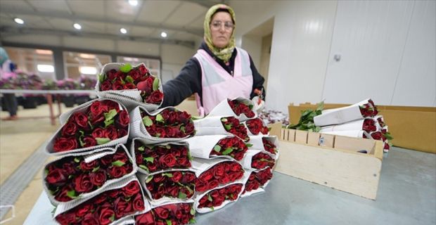 Orta Anadolu Süs Bitkileri ve Mamulleri İhracatçıları Birliği Başkanı Bağdatlıoğlu,