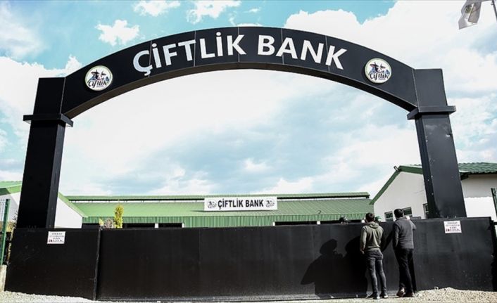 Çiftlik Bank mağdurlarına, sosyal medya üzerinden kurulan grupta hukuki anlamda