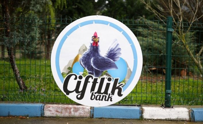 Sakarya'da usulsüzlük soruşturması kapsamında kayyum atanan Çiftlik Bank Mavi Yumurta