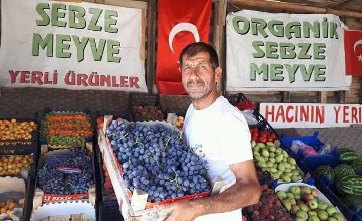 Erzincan'ın önde gelen tarımsal ürünlerinden birisi olan cimin üzümünde hasat