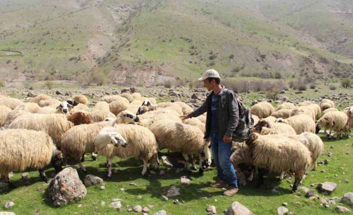 Sosyal medyada dikkat çeken Çemişgezekli Çoban, demokrasinin olduğu aydınlık bir