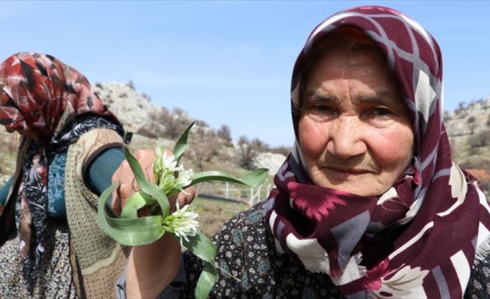 Karaman'ın Orta Torosların eteklerinde kurulu köylerinde, birçok hastalığa iyi geldiğine
