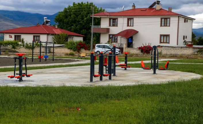 Erzincan Belediyesi daha yeşil bir Erzincan için şehir genelinde çalışmalarını