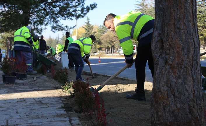 Erzincan Belediyesi daha yeşil bir Erzincan için çalışıyor.