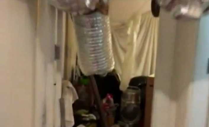 İstanbul Beylikdüzü’nde bir apartman dairesine baskın yapan polis, adeta uyuşturucu