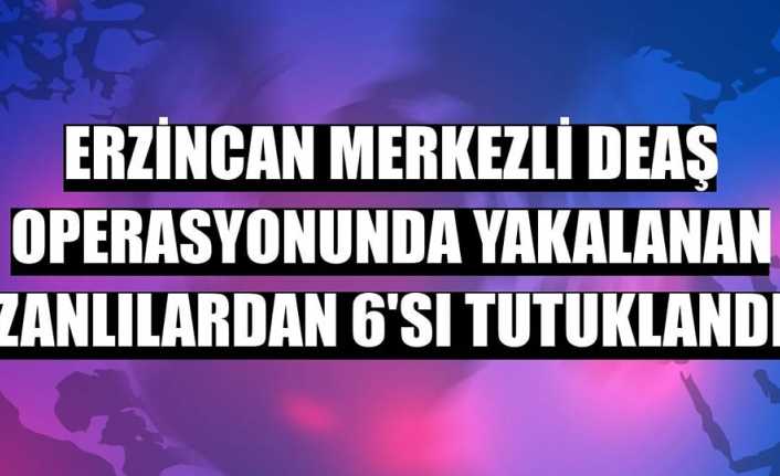 Erzincan merkezli 3 ilde düzenlenen operasyonda, terör örgütü DEAŞ üyesi