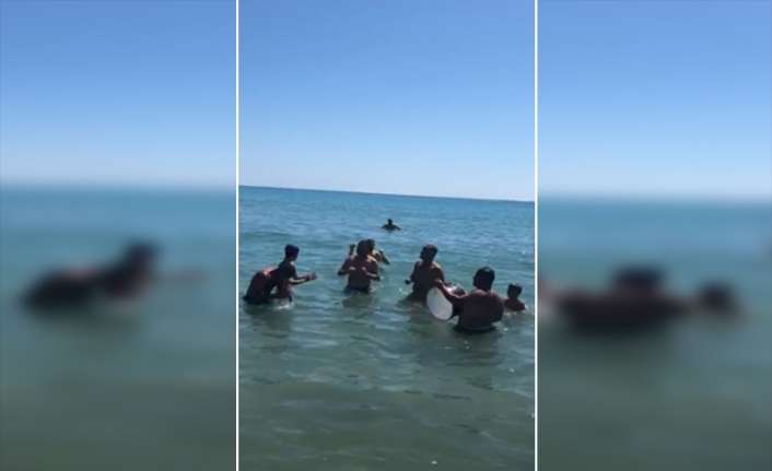 Mersin’de denize giden bir grup vatandaş, davul ve zurna eşliğinde