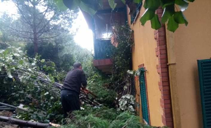 İstanbul Beykoz’da bulunan bir dere şiddetli yağmur nedeniyle taştı. Taşma