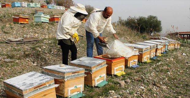 Osmaniyeli Keçebaş çifti, Gıda, Tarım ve Hayvancılık Bakanlığının Genç Çiftçi