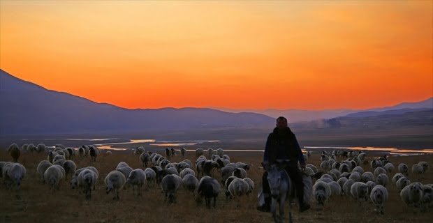 Doğu ve Güneydoğu Anadolu yaylalara çıkma yasağının ilkbaharda kaldırılacağı müjdesi
