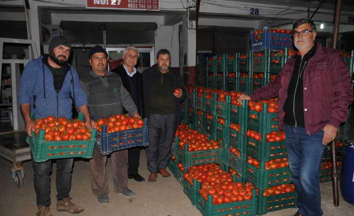 Mersin’de geçtiğimiz ay tarlada 3,5 liradan satılan domatesin fiyatı 2