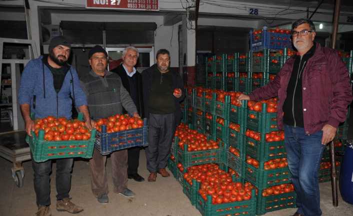 Mersin’de geçtiğimiz ay tarlada