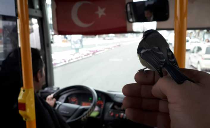 Erzincan’da etkili olan soğuk hava, açık alandaki hayvanların yaşamını da