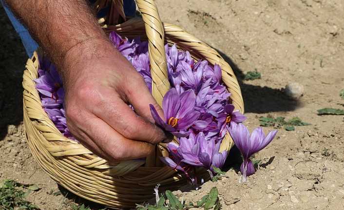 Kozmetik, gıda ve ilaç endüstrisi gibi bir çok sektörde kullanılan