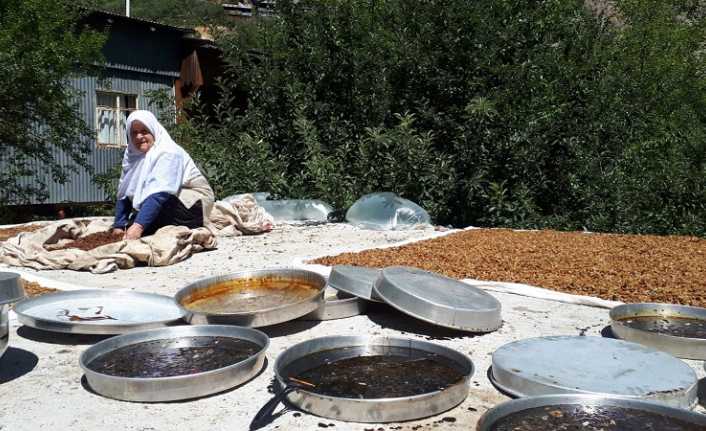 Eğinli kadınlar geleneksel yöntemlerle pekmez yapıyorlar Doğal ve Katkısız Pekmez Kemaliye’de Geleneksel Yöntemlerle Hazırlanıyor Erzincan’ın
