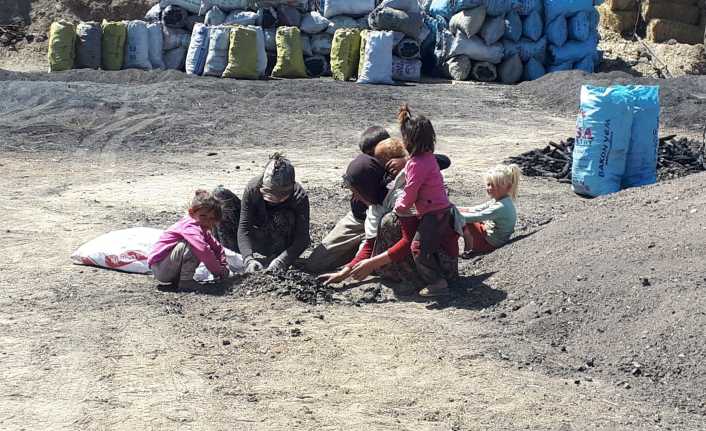 Erzincan’da geçimlerini mangal kömüründen sağlayan mevsimlik işçiler, kurdukları çadırda ekmek