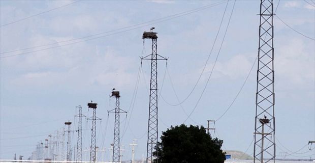 ETD Yönetim Kurulu Başkanı Çalışır, elektrikte son kaynak tedarik tarifesine