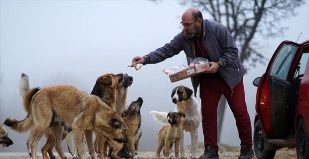 Bolu'da, evde beslemeye başladığı köpek sayesinde hayvanlara karşı duyarlılığı artan