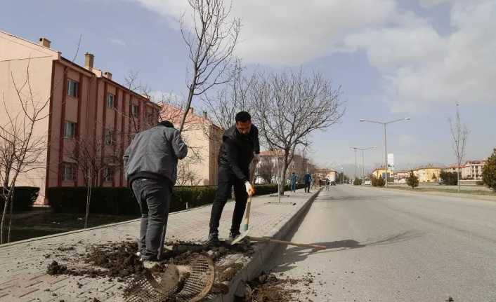 Erzincan Belediyesi, şehrin daha yeşil bir görünüm kazanması için ağaçlandırma