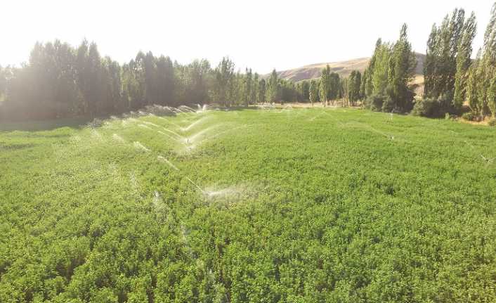 Tarım ve Orman Bakanlığı