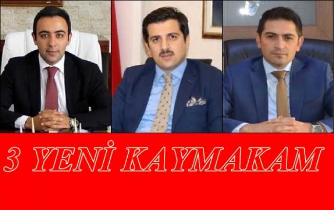 Erzincan’a Mülki İdare Amirleri Atama Kararnamesine göre Otlukbeli, İliç ve
