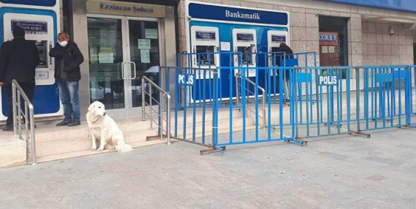 Banka şubelerin önünde yığılmaların olması ve sosyal mesafenin sağlanamaması üzerine