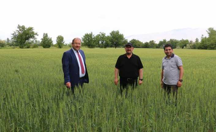 Erzincan Tarım ve Orman İl Müdürlüğü yetkilileri sezon sonunda rekolte
