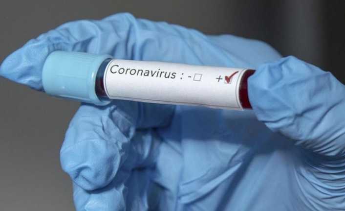 Erzincan'da Korona virüsten bir
