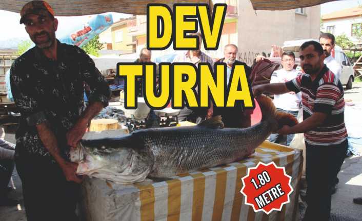 Erzincan’ın Kemaliye ilçesi sınırları içerisinden geçen Karasu nehrinde Erzincanlı 