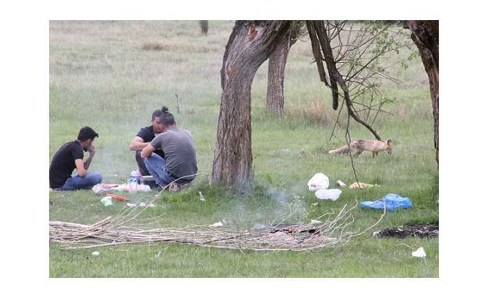 Erzincan’da Beytahtı Bölgesinde piknik yapan arkadaş grubu, yiyeceklerini yanlarına gelen
