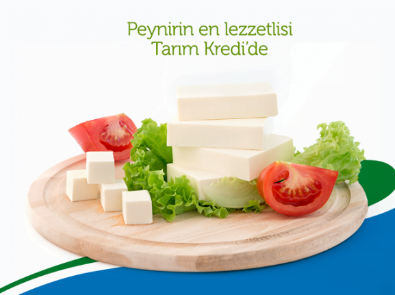 Erzincan’ın Sütünü Tarım Kredi İşleyecek Erzincan’da önemli projelerden birisi olan süt işleme tesisi ile ilgili