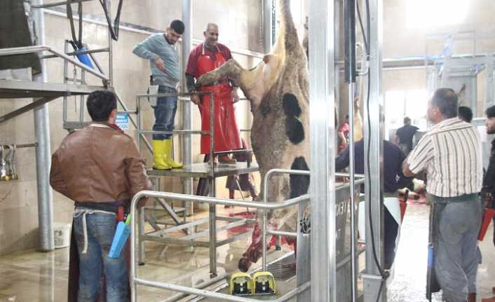Erzincan Belediyesi Özel Et Entegre Tesisinde, Et ve Süt Kurumu